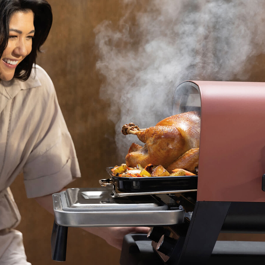 horno eléctrico de exterior ninja woodfire pizzera artesanal y ahumador de barbacoa oo101uk